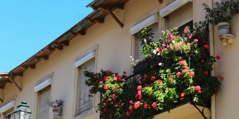 Bouquets_2