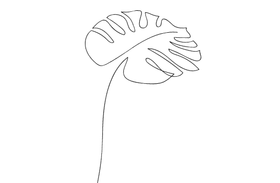 Feuille